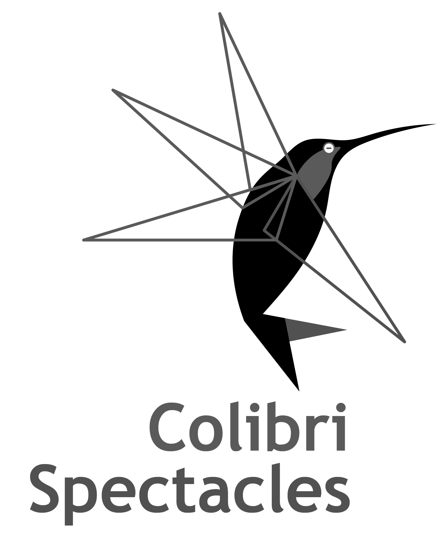 Logo Colibri Spectacle